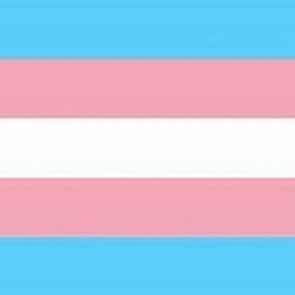 Meet your Posher, Noah - Picture 1 of 1